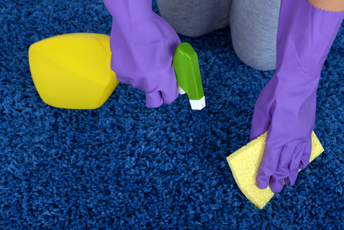 carpet cleaning Sylmar